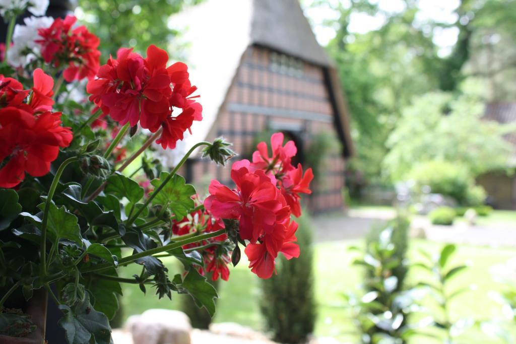 Ostehof Weertzen Villa Екстериор снимка